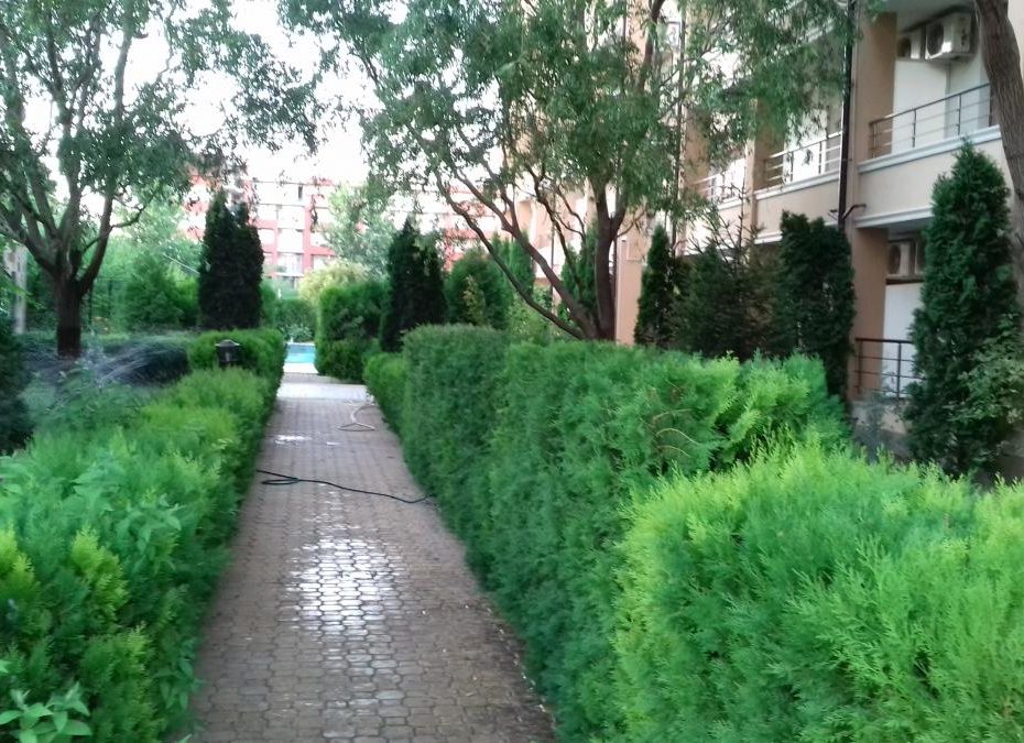 Територията на комплекса Света Елена в Слънчев бряг Id 246