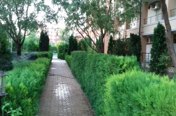 Территория комплекса Святая Елена на Солнечном берегу Id 246
