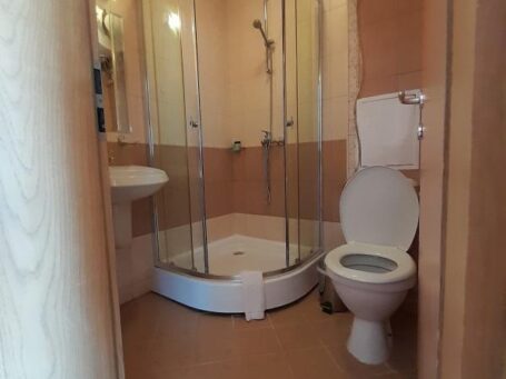 Id 254 Санузел с душевой кабиной