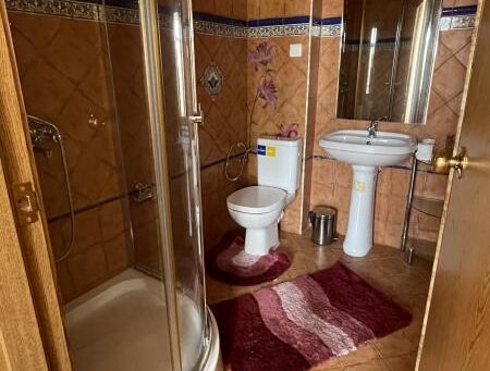 Id 520 Санузел с душевой кабиной