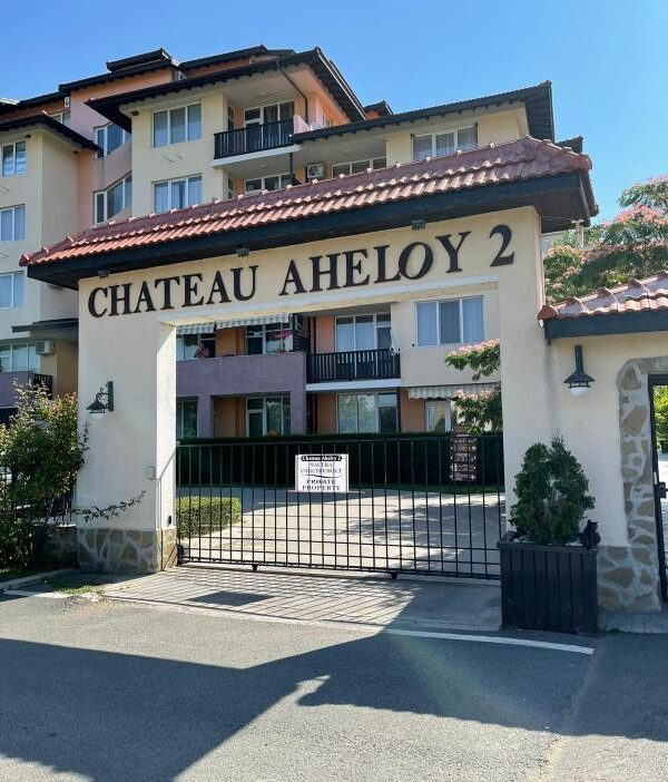 ID 750 Вид на комплекс Chateau Aheloy