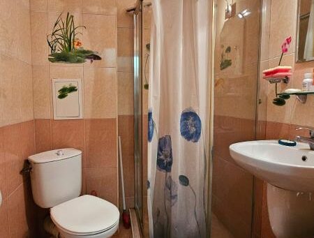 ID 748 Санузел 
