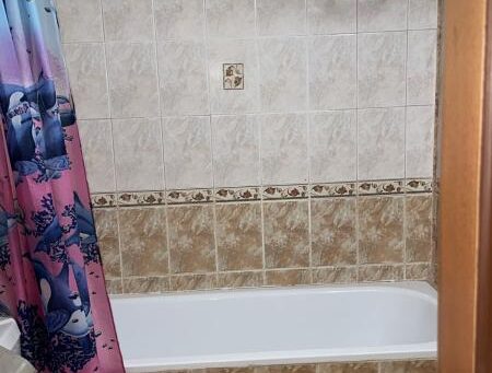 ID 878 Санузел с ванной 