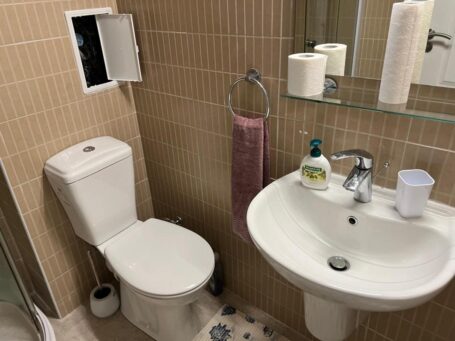 ID 924 Санузел  