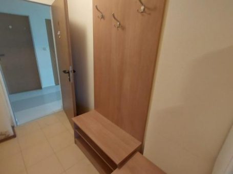 ID 875 Входно антре