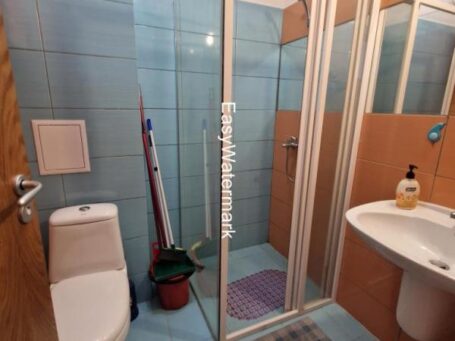 ID 994 Санузел 