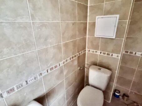 ID 1007 Санузел 