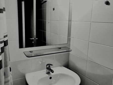 ID 1116 Раковина
