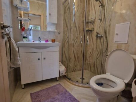 ID 1098 Санузел с душевой кабиной 