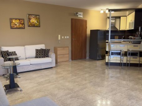 ID 771 living room