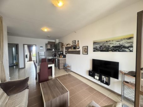 1180 overall view of the living room