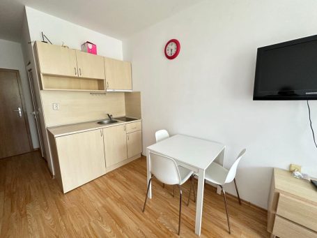 ID 1197 Студио с кухня