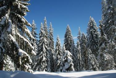 Ski resort in Bulgaria