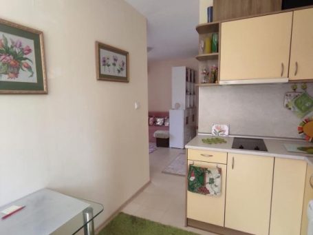  ID 1244 Kitchen of the apartment