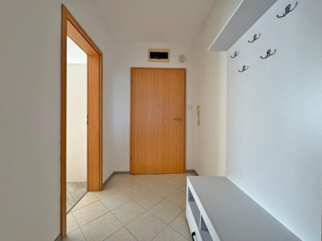 ID 1243 антре